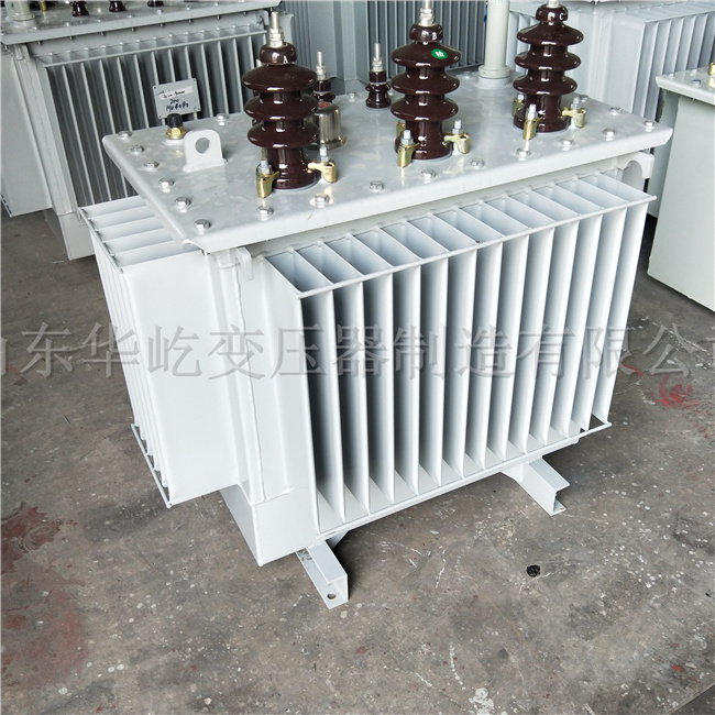 甘南S20-1000KVA油浸式电力变压器